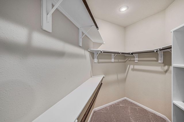 12153 Goliad Lane, Willis, TX 77378