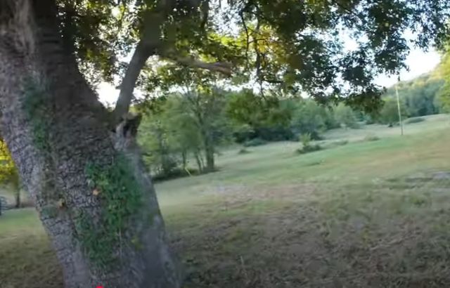 6876 Giles Hill Rd, College Grove, TN 37046