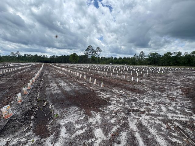 00 Swamp Road, Waycross, GA 31503