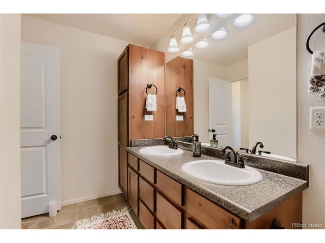 1519 New Season Dr, Windsor, CO 80550