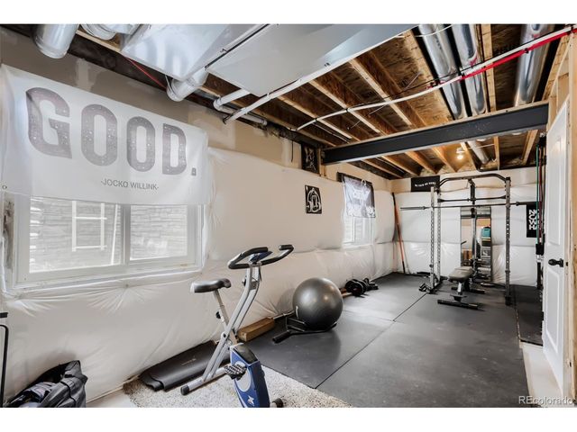 1519 New Season Dr, Windsor, CO 80550