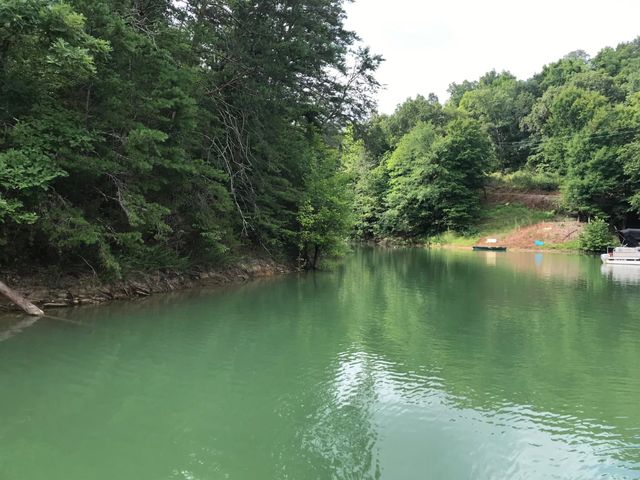 13 Pleasure Rd, Sevierville, TN 37876
