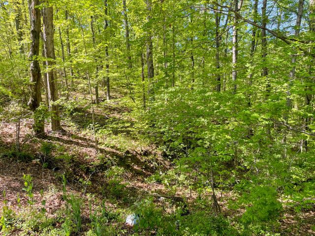 13 Pleasure Rd, Sevierville, TN 37876