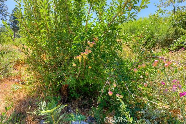 12980 Mohawk Way, Oroville, CA 95965