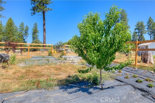 12980 Mohawk Way, Oroville, CA 95965