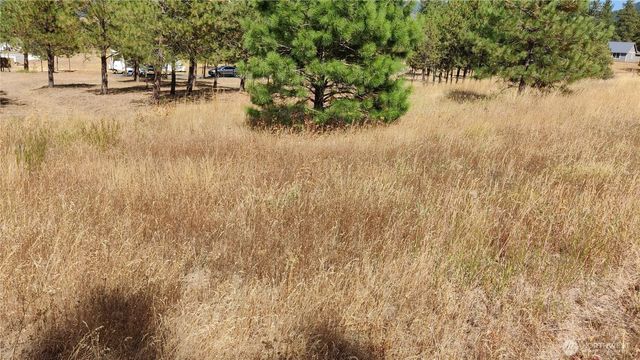 1640 Leo Lane, Cle Elum, WA 98922