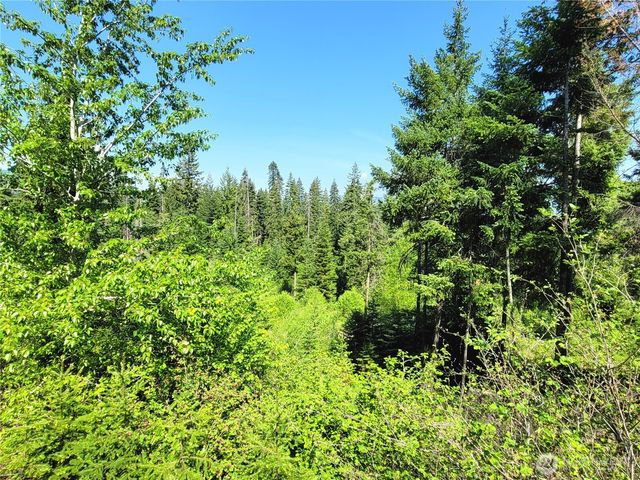 0 NKA Anders Drive, Cle Elum, WA 98922