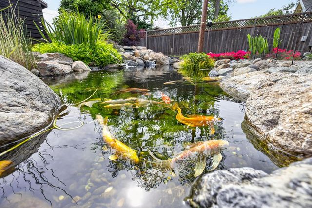 217 Earl Ave, Roseville, CA 95678