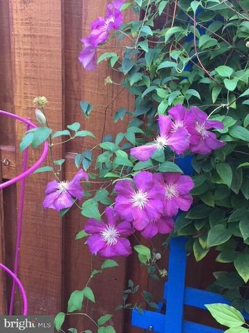 3404 EPIC GATE, Bowie, MD 20716