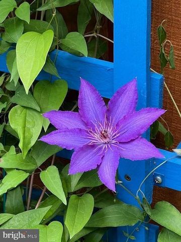 3404 EPIC GATE, Bowie, MD 20716