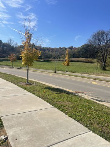 0 Pasquo Road, Nashville, TN 37221