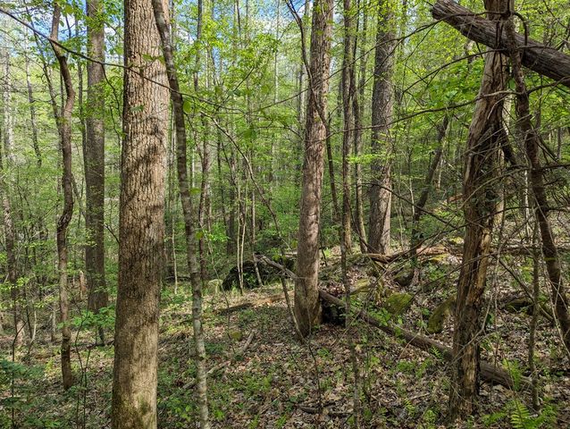 00 Buck Creek Trail, Epworth, GA 30541