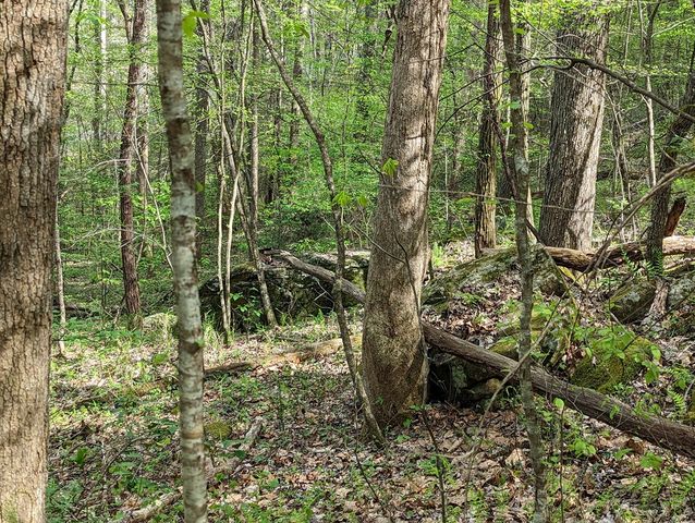 00 Buck Creek Trail, Epworth, GA 30541