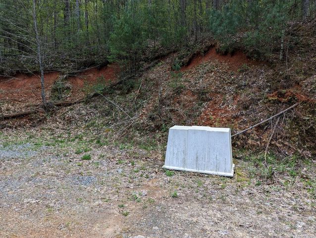 00 Buck Creek Trail, Epworth, GA 30541
