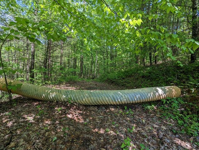 00 Buck Creek Trail, Epworth, GA 30541