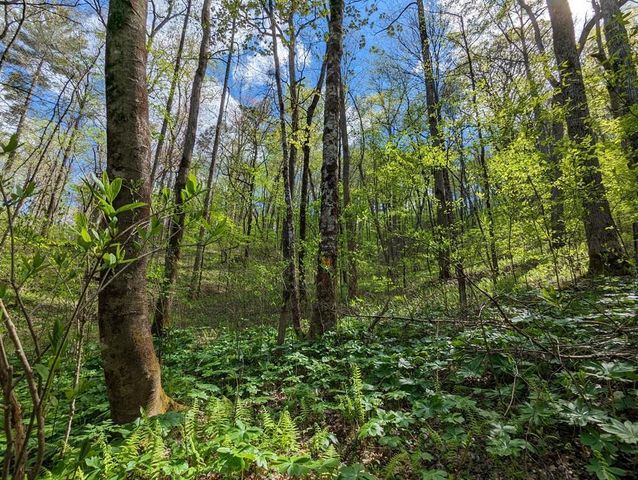 00 Buck Creek Trail, Epworth, GA 30541