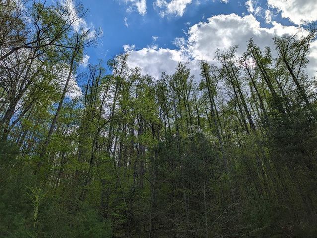 00 Buck Creek Trail, Epworth, GA 30541