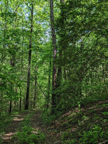 00 Buck Creek Trail, Epworth, GA 30541