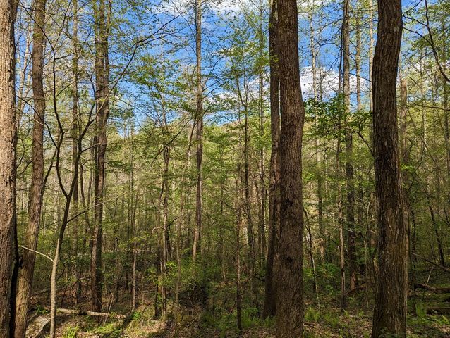 00 Buck Creek Trail, Epworth, GA 30541