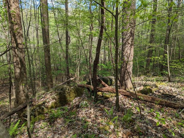 00 Buck Creek Trail, Epworth, GA 30541