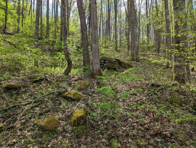 00 Buck Creek Trail, Epworth, GA 30541