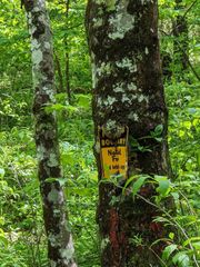 00 Buck Creek Trail, Epworth, GA 30541