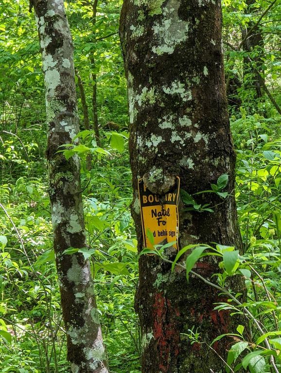 00 Buck Creek Trail, Epworth, GA 30541