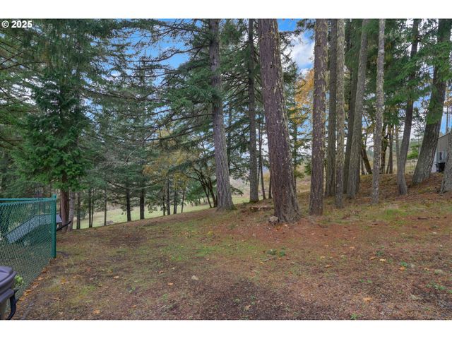 1244 CHURCHILL Dr, Oakland, OR 97462