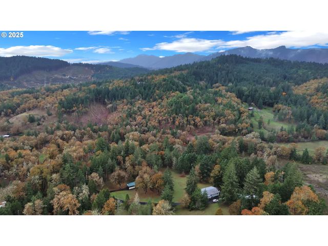 1244 CHURCHILL Dr, Oakland, OR 97462