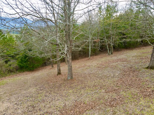 Lot 20 Skyhigh Drive, Dunlap, TN 37327