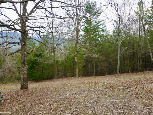 Lot 20 Skyhigh Drive, Dunlap, TN 37327