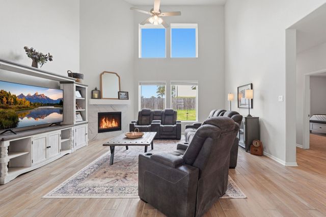 20046 Parkland Gates Drive, Montgomery, TX 77316