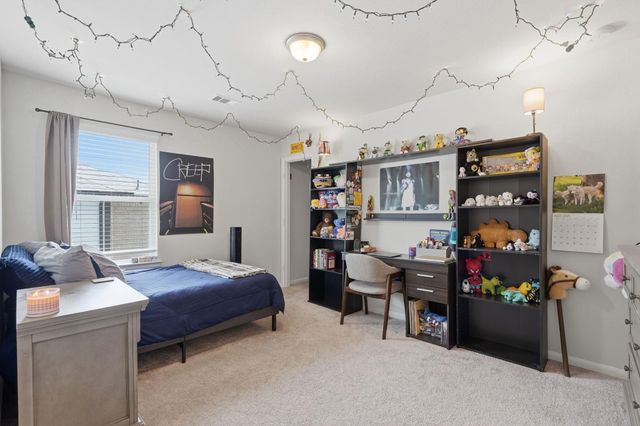 20046 Parkland Gates Drive, Montgomery, TX 77316