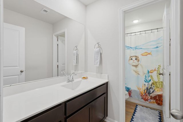 20046 Parkland Gates Drive, Montgomery, TX 77316