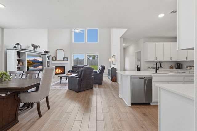 20046 Parkland Gates Drive, Montgomery, TX 77316