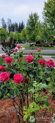 18727 145th Street E, Bonney Lake, WA 98391