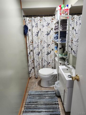 271 E Rose Lake Road, Ovid Twp, MI 49036