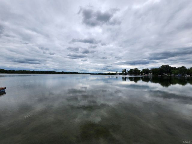 271 E Rose Lake Road, Ovid Twp, MI 49036