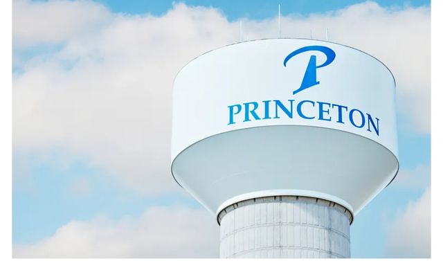 613 Holleman Dr, Princeton, TX 75407