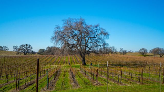 17000 Latrobe Rd, Plymouth, CA 95669