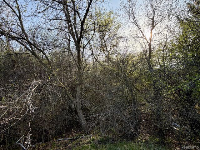 7828 Fosdick Road, Pittsfield Charter Township, MI 48176