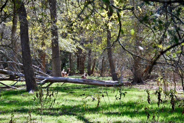 TBD Us 90, Schulenburg, TX 78956