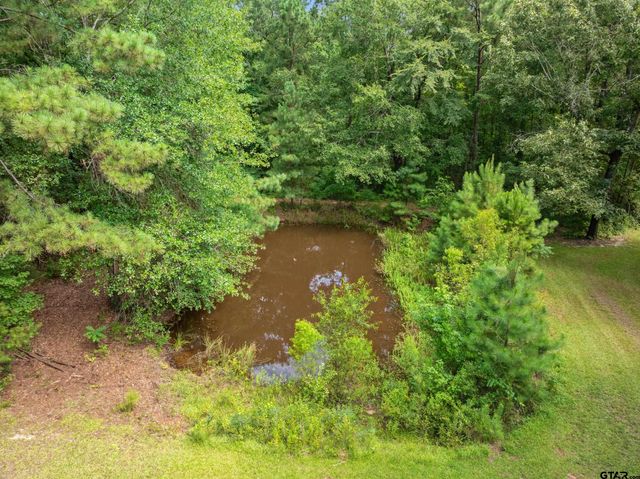408 CR 4810, Troup, TX 75789