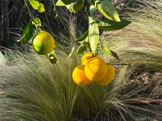 415 S Brook Lane, Anaheim Hills, CA 92807