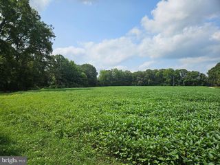 13336 LADYSMITH RD, Ruther Glen, VA 22546