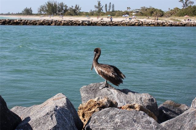 20097 PEZZANA DRIVE, Venice, FL 34292