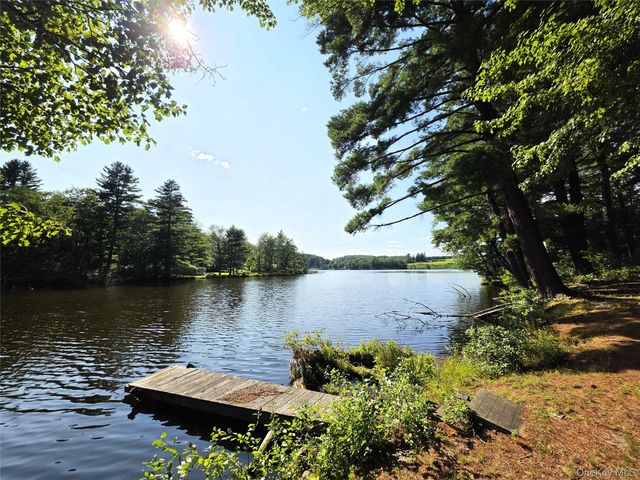 25 George Segar Road, Swan Lake, NY 12783