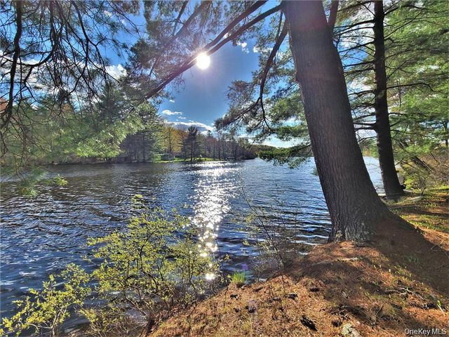 25 George Segar Road, Swan Lake, NY 12783