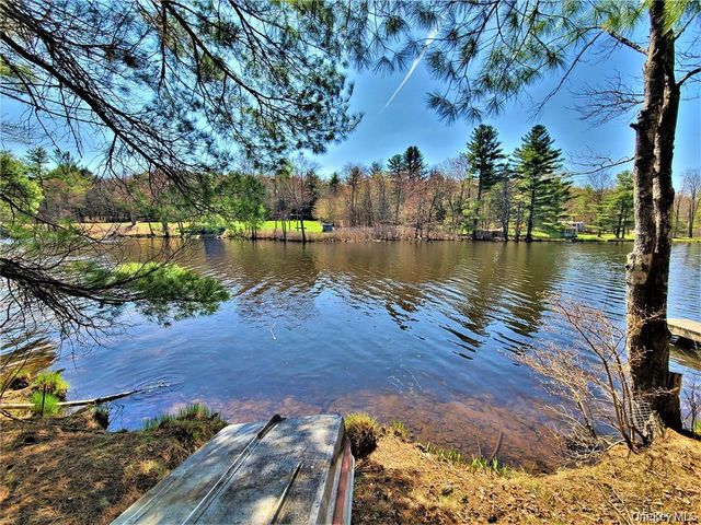 25 George Segar Road, Swan Lake, NY 12783