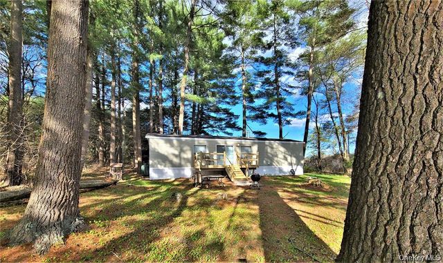 25 George Segar Road, Swan Lake, NY 12783